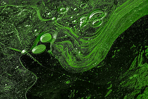Frozen Bubble Clusters Among Twirling River Ice (Green Tone Photo)