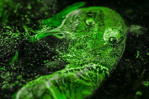 Frozen Distorted Bubble Eyed Ice Face (Green Tone Photo)