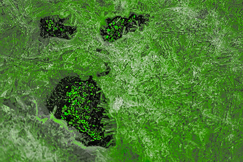 Frozen Ice Screaming Pebble Soil Face (Green Tone)