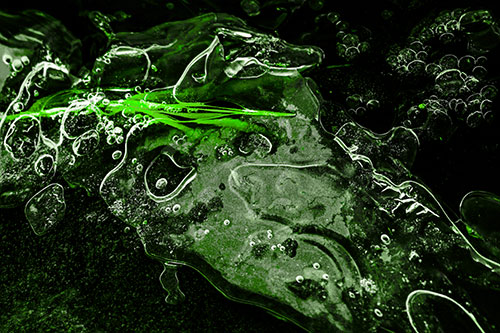 Frozen Shapeshifting Pupil Bubble Eyed Ice Face (Green Tone)