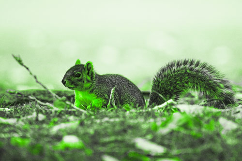 Grass Crouching Squirrel Beyond Broken Tree Branch (Green Tone Photo)