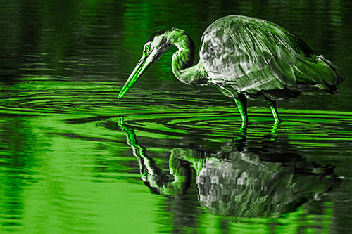 Great Blue Heron Snatches Pond Fish (Green Tone Photo)