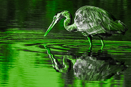 Great Blue Heron Snatches Pond Fish (Green Tone)