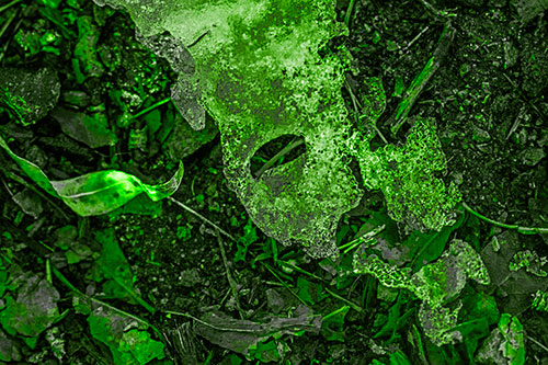 Half Melted Ice Face Atop Dead Leaves (Green Tone)