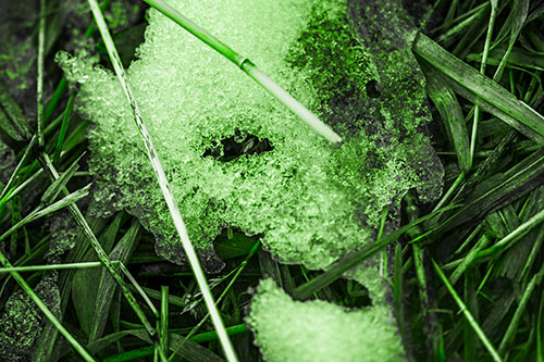 Half Melted Ice Face Smirking Among Reed Grass (Green Tone Photo)