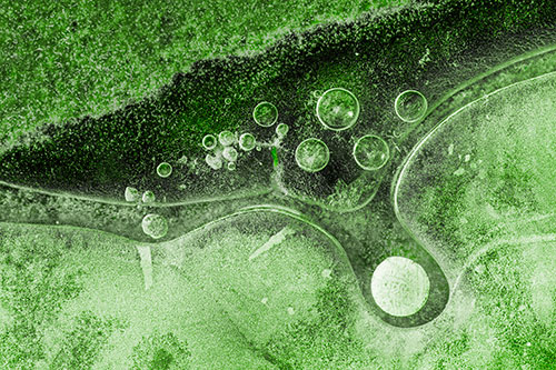 Ice Bubbles Among Frozen Soil Crevice (Green Tone)