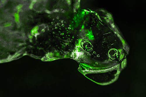 Joyful Frozen Bubble Eyed River Ice Face Creature (Green Tone Photo)