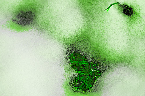 Joyful Soil Face Appears Beneath Melting Snow (Green Tone Photo)