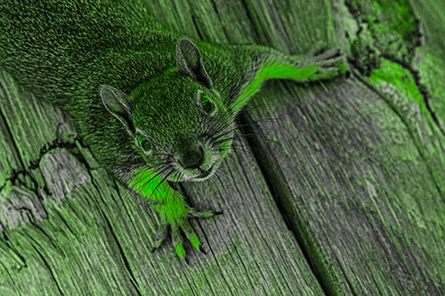 Joyful Squirrel Looking Upwards Among Wooden Pole (Green Tone)