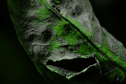 Lacerated Mouth Leaf Face Smirking Among Decay (Green Tone)