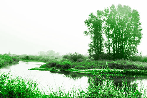 Large Foggy Trees At Edge Of River Bend (Green Tone Photo)