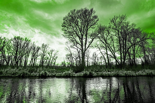 Leafless Trees Cast Reflections Along River Water (Green Tone Photo)