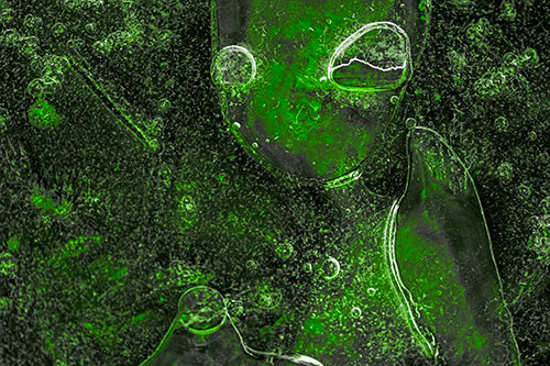Mouthless Alien Ice Figure Forms Among Frozen River Water (Green Tone)