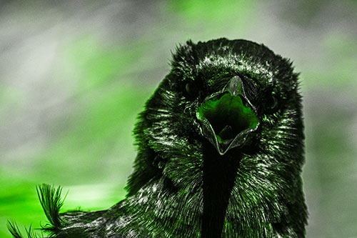 Open Mouthed Crow Screaming Among Wind (Green Tone Photo)