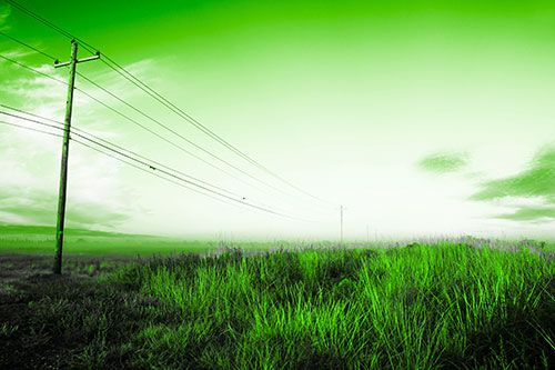 Powerlines Descend Among Foggy Prairie (Green Tone Photo)