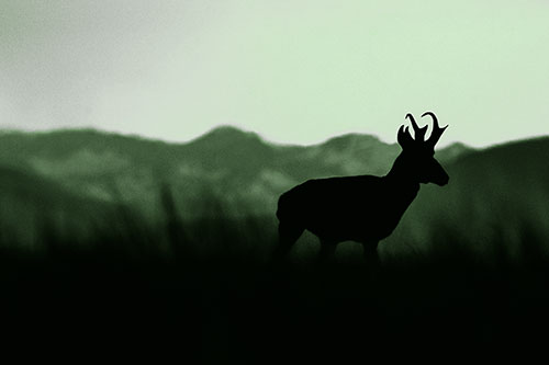 Pronghorn Silhouette Across Mountain Range (Green Tone)