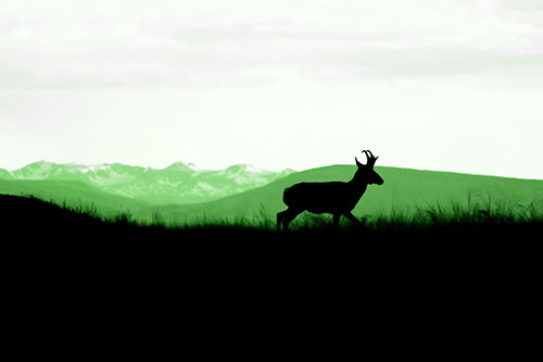 Pronghorn Silhouette On The Prowl (Green Tone Photo)