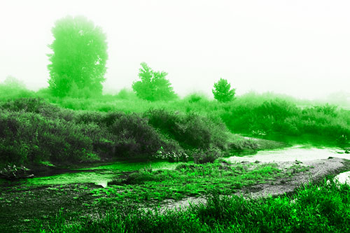 River Flowing Along Foggy Vegetation (Green Tone Photo)