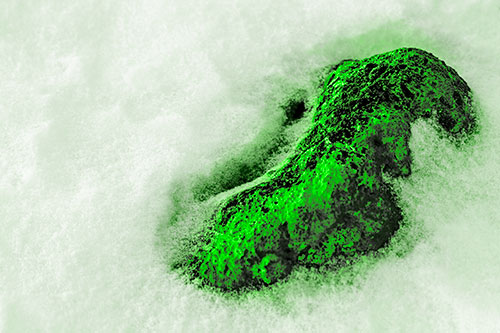 Rock Emerging From Melting Snow (Green Tone Photo)