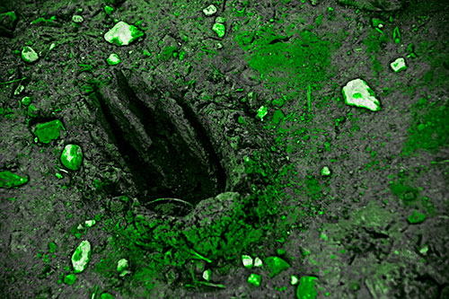 Rocks Surround Deep Mud Paw Footprint (Green Tone Photo)