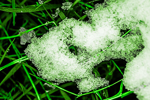 Sad Melting Grass Tangled Snow Face (Green Tone)