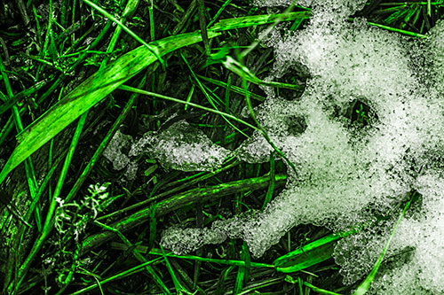 Sad Mouth Melting Ice Face Creature Among Soggy Grass (Green Tone Photo)