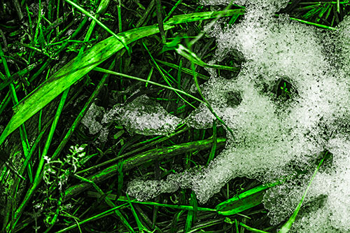 Sad Mouth Melting Ice Face Creature Among Soggy Grass (Green Tone)