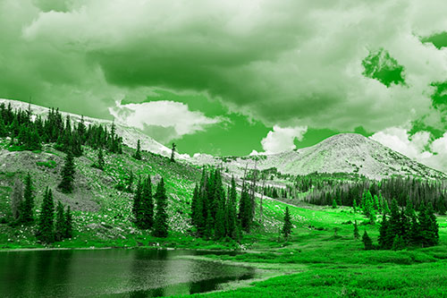 Scattered Trees Along Mountainside (Green Tone Photo)