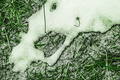 Screaming Stick Eyed Snow Face Among Grass (Green Tone Photo)