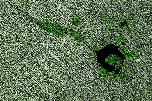 Screaming Wet Asphalt Face Cracking Apart (Green Tone)