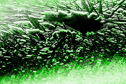Shattered Ice Crystals Surround Water Hole (Green Tone Photo)