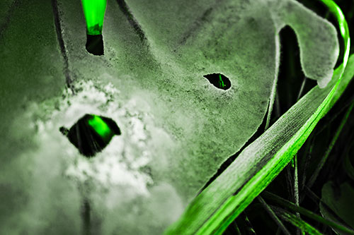 Shocked Peeling Grass Eyed Ice Face (Green Tone)
