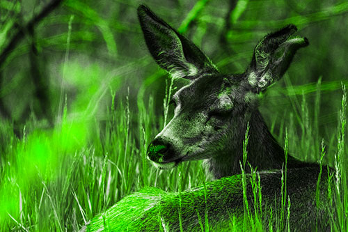 Sleepy White Tailed Deer Enjoying Happy Dreams (Green Tone Photo)