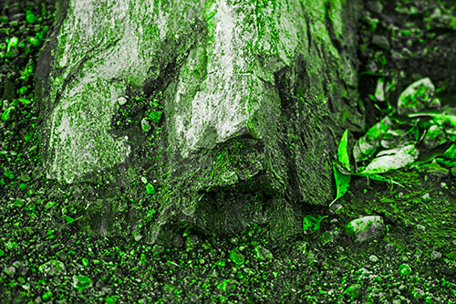Slime Covered Rock Face Resting Along Shoreline (Green Tone Photo)