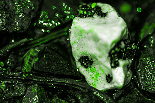Slimy Extraterrestrial Alien Faced Rock Head (Green Tone Photo)