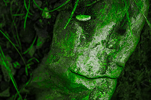 Smirking Battered Rock Face (Green Tone Photo)