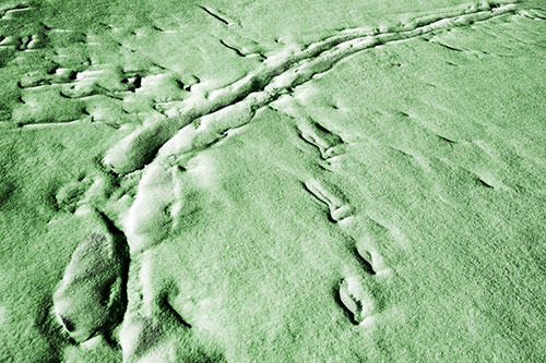 Snow Drifts Cover Footprint Trails (Green Tone Photo)