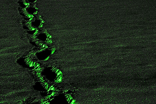 Snow Footprints Across Frozen Lake (Green Tone Photo)