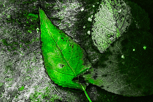 Soggy Cannibal Leaf Face Chewing Another Leaf (Green Tone)