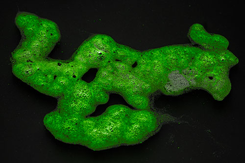 Sorrow Morphing Bubble Face Floating Above Soil (Green Tone)
