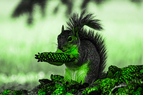 Squirrel Eating Pine Cones (Green Tone Photo)
