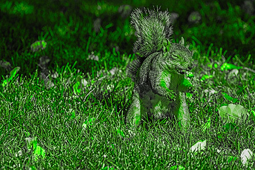 Squirrel Enjoying Breakfast Among Fallen Autumn Leaves (Green Tone)