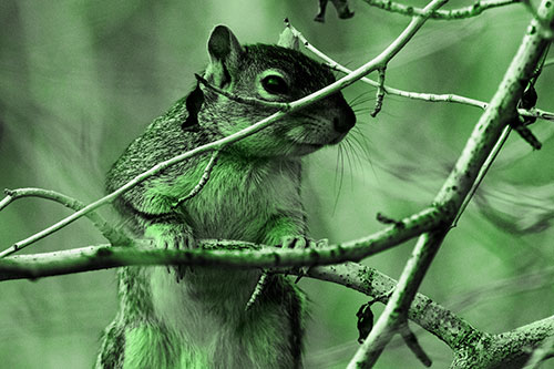 Standing Squirrel Peeking Over Tree Branch (Green Tone)