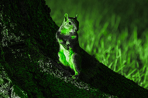 Standing Squirrel Poses Among Sloping Tree Stump (Green Tone)