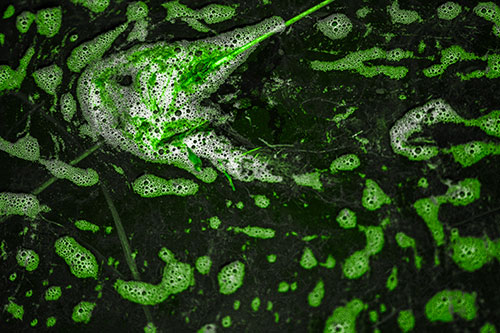 Stick Impales River Bubble Face Through Eye (Green Tone Photo)