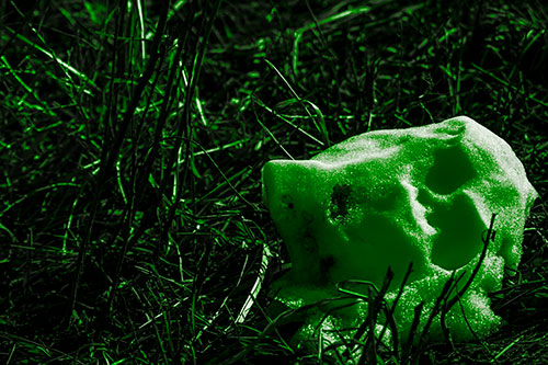 Sunlight Melting Dead Snow Face Head (Green Tone Photo)