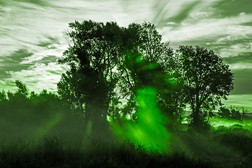 Sunlight Rays Burst Through Fog Surrounded Trees (Green Tone)