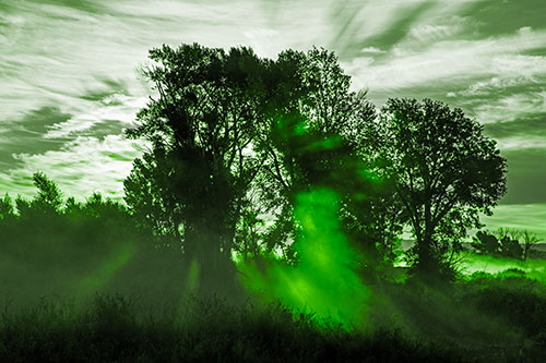 Sunlight Rays Burst Through Fog Surrounded Trees (Green Tone Photo)