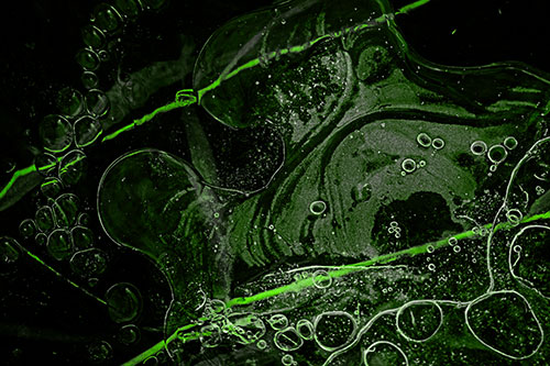 Terrified Screaming Ice Bubble Face Imprisoned Among Sticks (Green Tone)