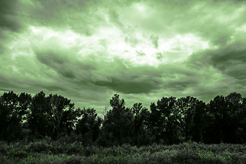 Thunderstorm Clouds Brewing Above Tree Line (Green Tone)